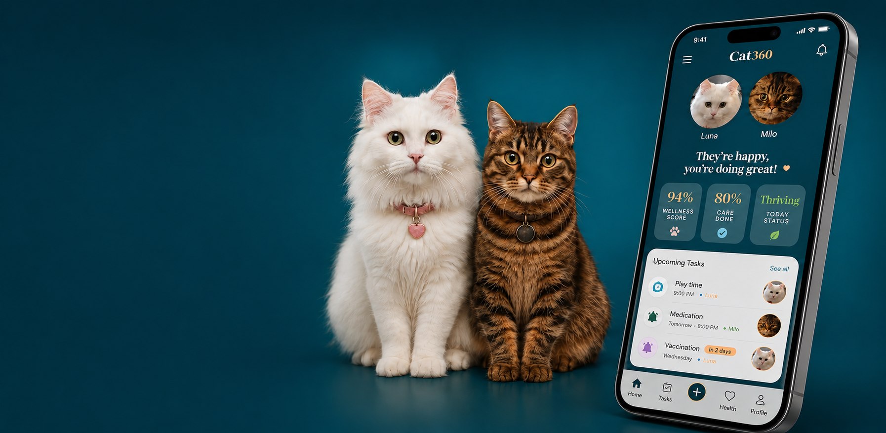 Two cats with Cat360 app interface